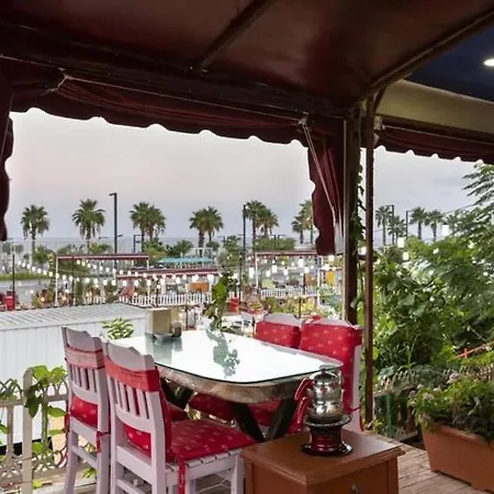 La Cactus Boutique فندق مبيت وإفطار 2*
